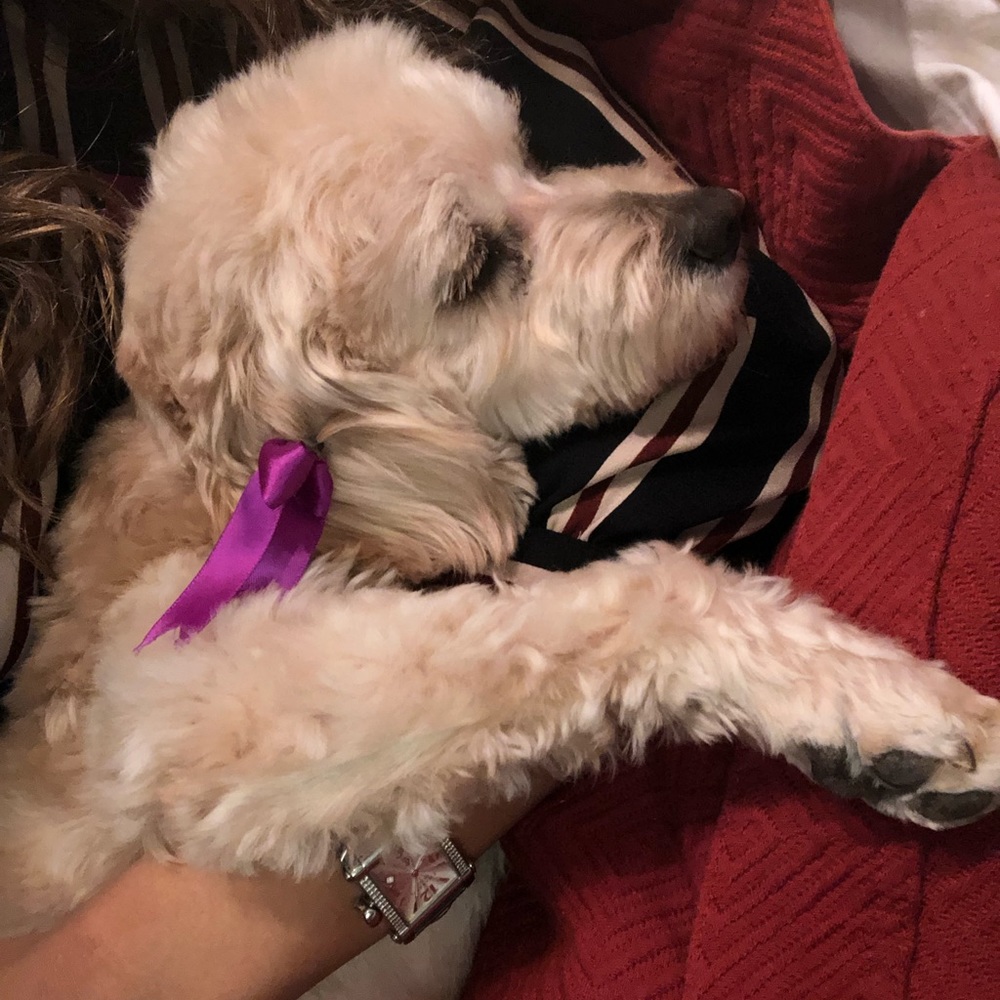 Meet your Posher, Cindy